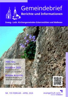 Blühende Alpenveilchen an der Mauer eines der Königsgräber von Paphos auf Zypern